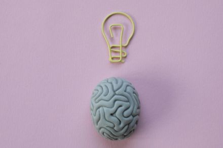 Paperclip in a Shape of a Light Bulb and a Rubber Eraser in a Shape of a Brain