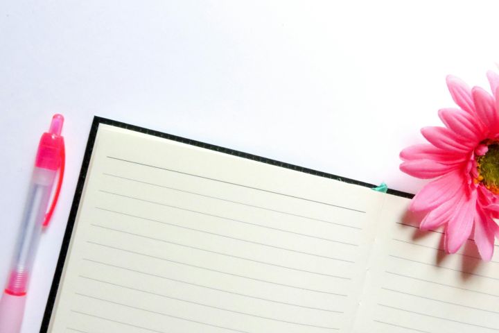 Top-down view of an open notebook with a pink pen and daisy on a white background, ideal for creative projects.